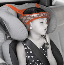 Головодержатель